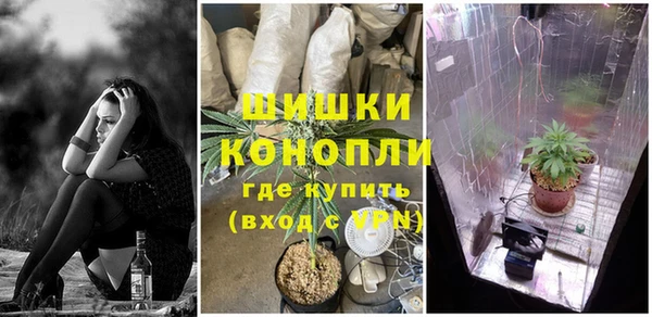гидра Балахна