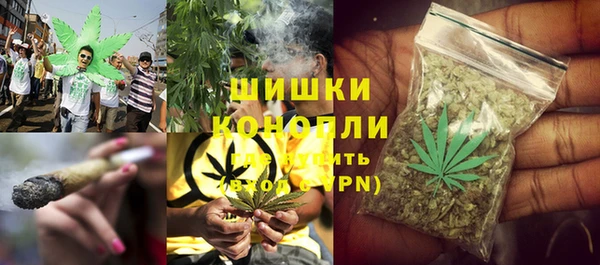 гидра Балахна