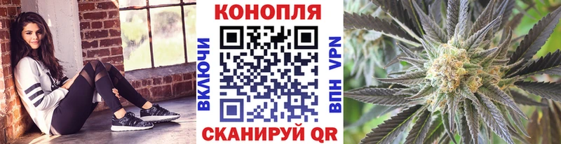 Бошки марихуана Amnesia  купить наркотик  Белорецк 